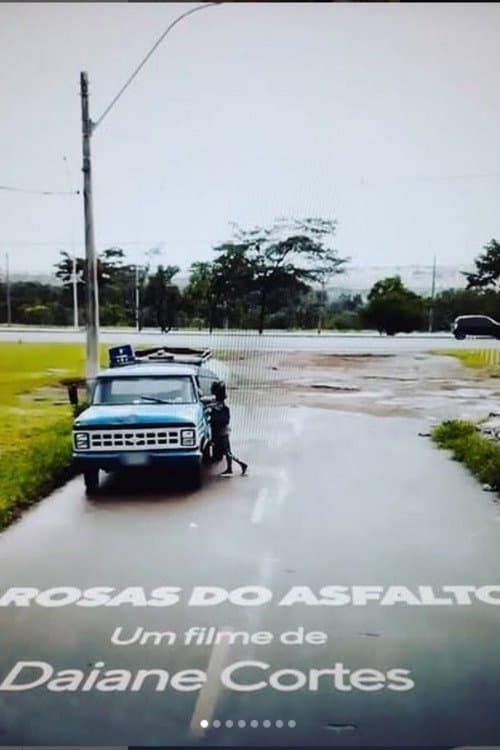Rosas do Asfalto