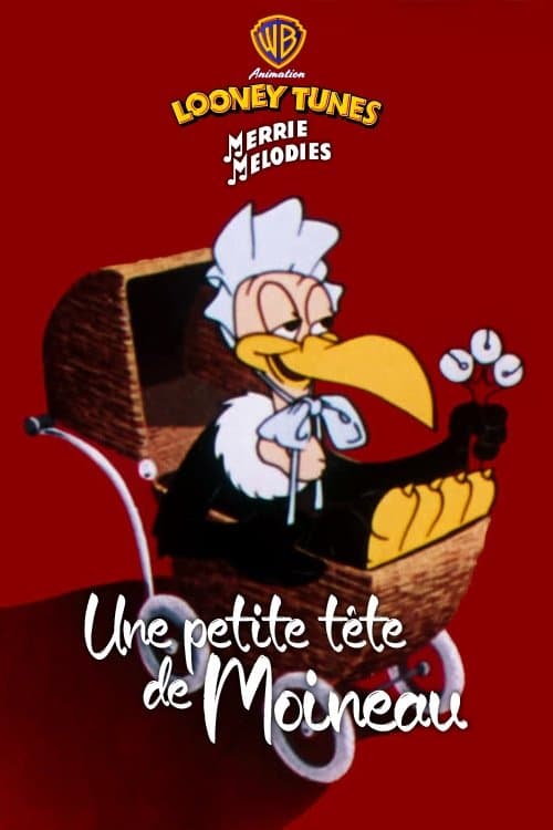 Une petite tête de moineau