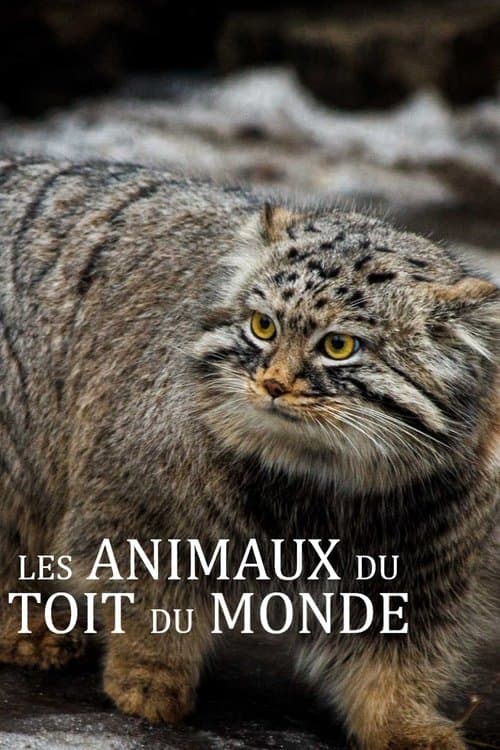 Les animaux du toit du monde