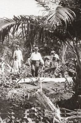 Amazonas, o Maior Rio do Mundo