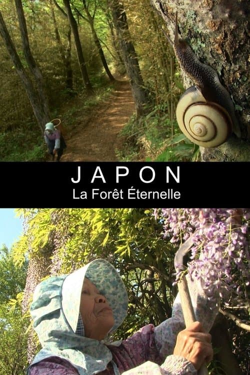 Japon - La forêt éternelle
