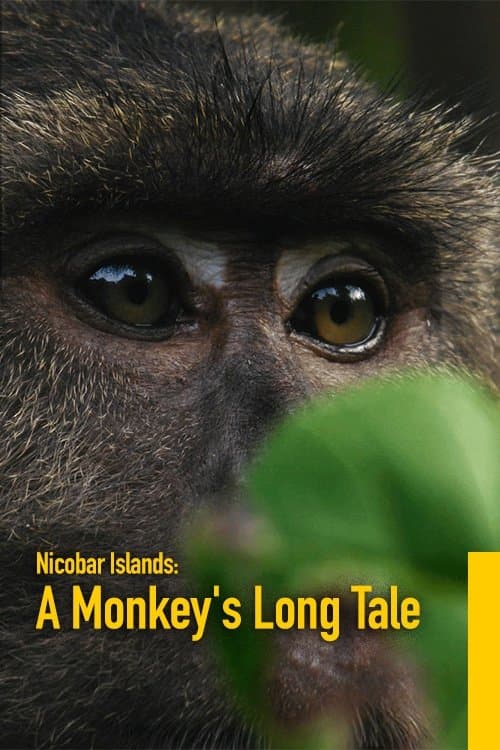 Les îles Nicobar, renaissance d’un archipel