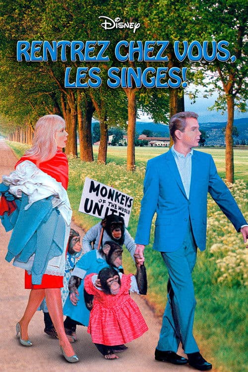 Rentrez chez-vous les singes
