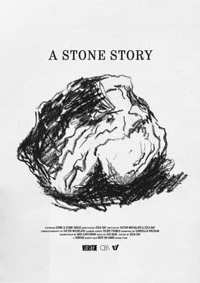 A Stone Story