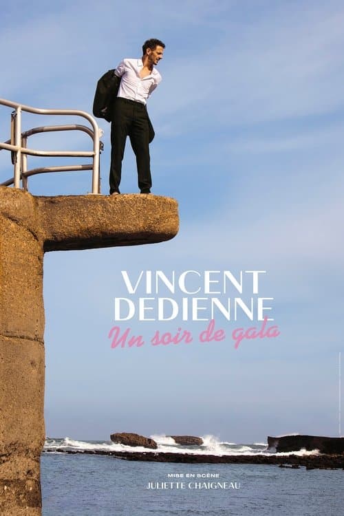 Vincent Dedienne - Un soir de Gala