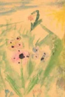 Motýli tady nežijí