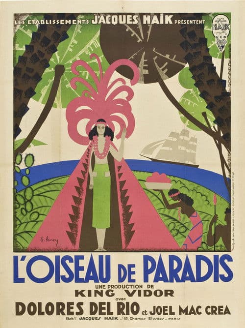L'oiseau de paradis