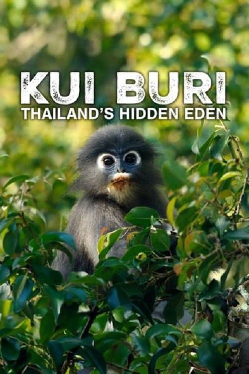 Kui Buri, un écrin sauvage en Thaïlande