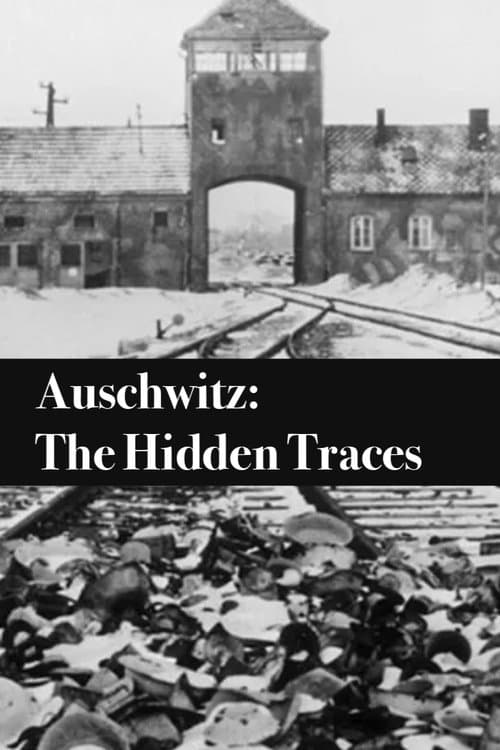 Les Traces d'Auschwitz