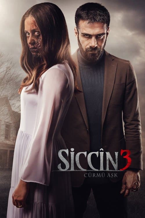 Siccin 3