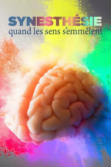 Synesthésie, quand les sens s'emmêlent