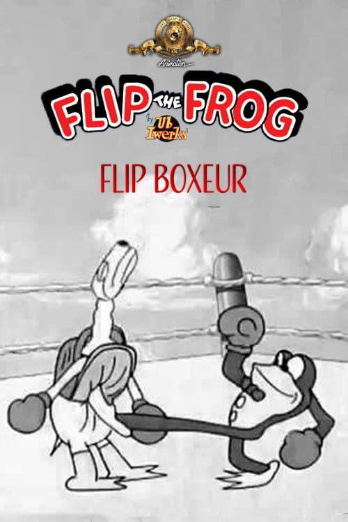 Flip Boxeur