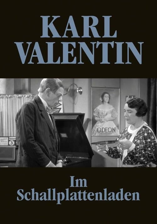 Im Schallplattenladen