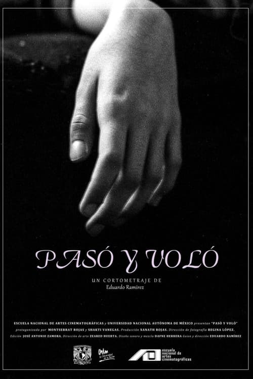 Pasó y voló