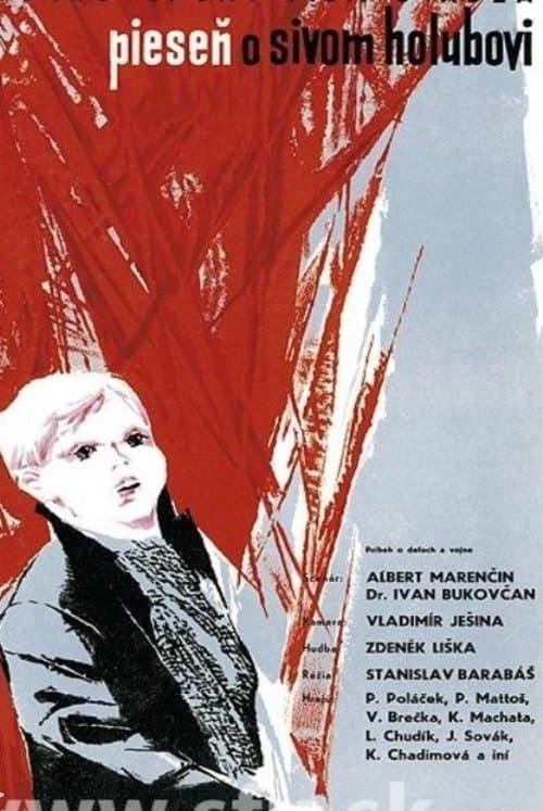 Le chant du pigeon gris