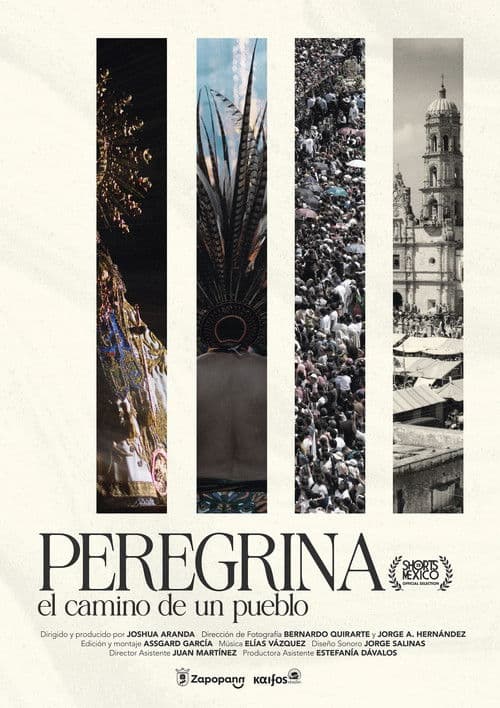 Peregrina el camino de un pueblo