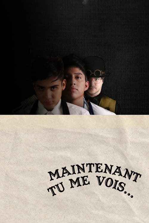 Maintenant Tu Me Vois...