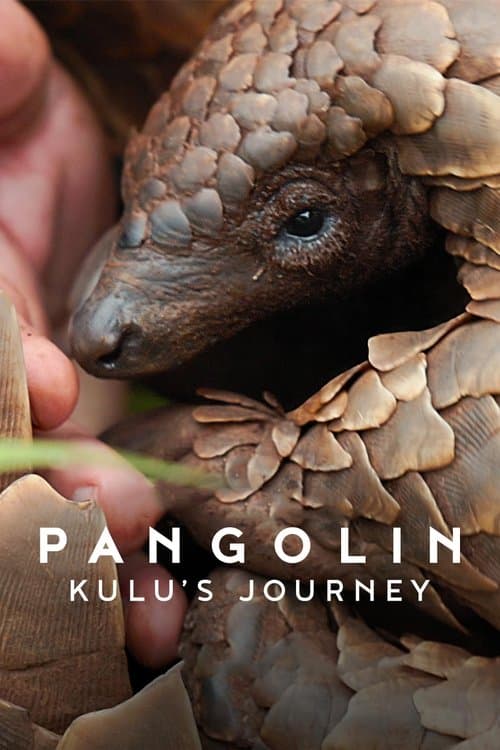 Pangolin : Chemins de vie