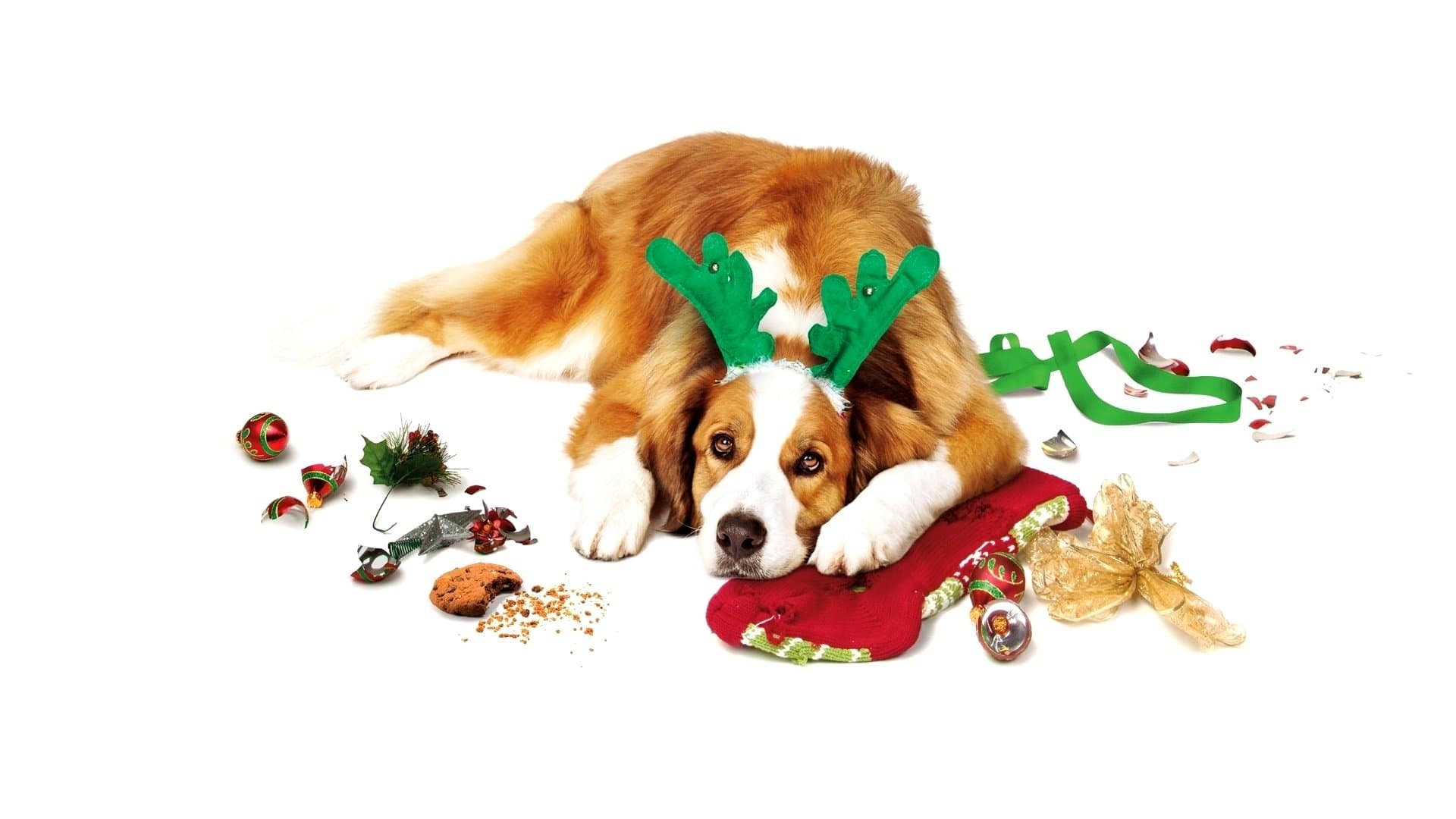 Noël chez les Cooper