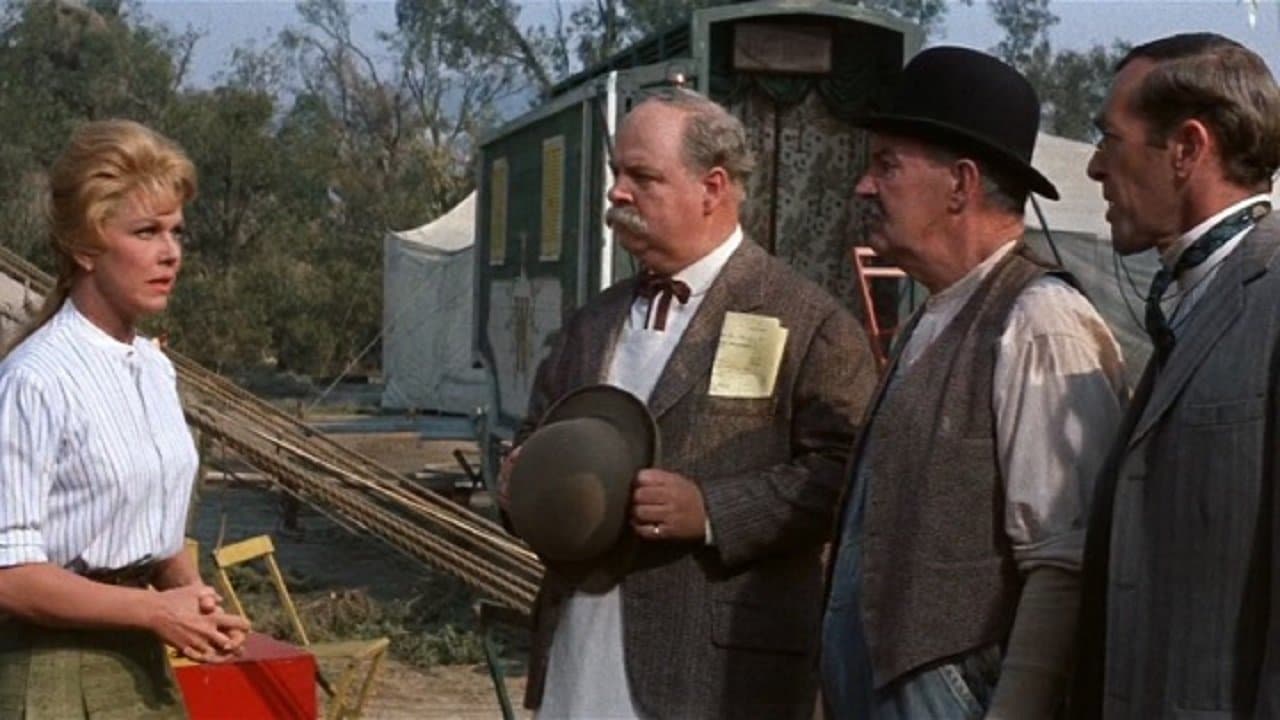 Jumbo, la sensation du cirque