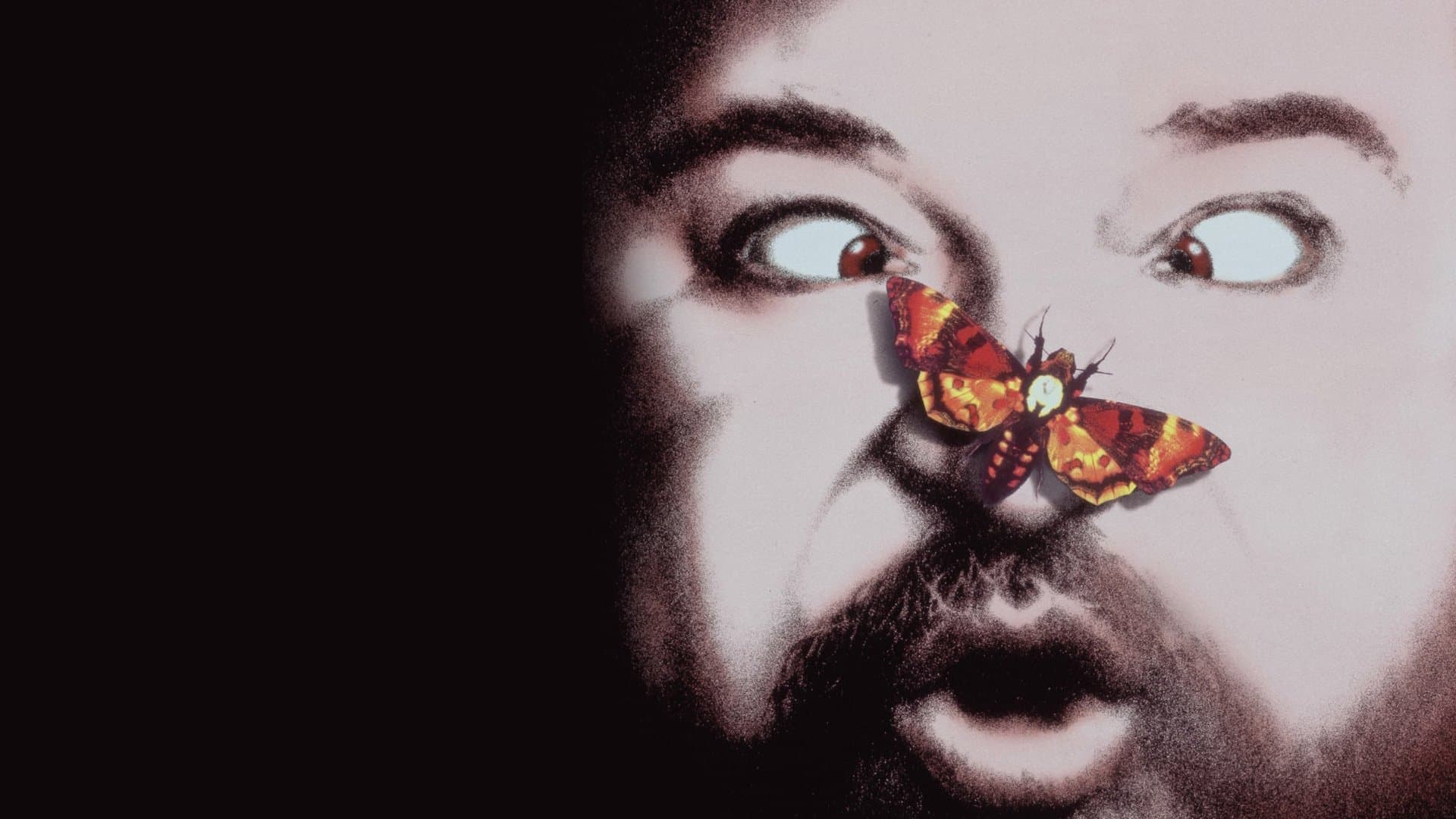 Le Silence des jambons